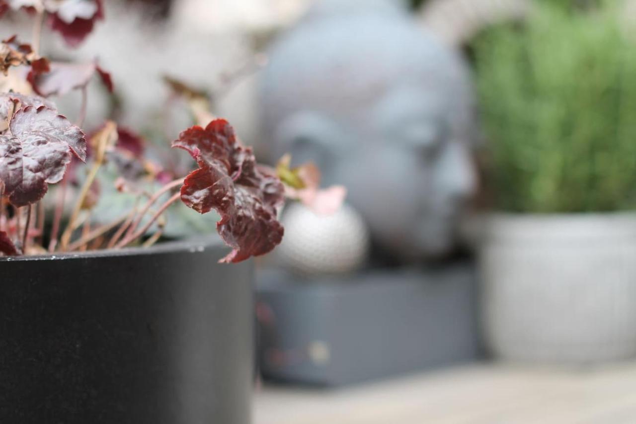 Exklusive Designferienwohnung The Backyard Tby 02 Trier Bagian luar foto